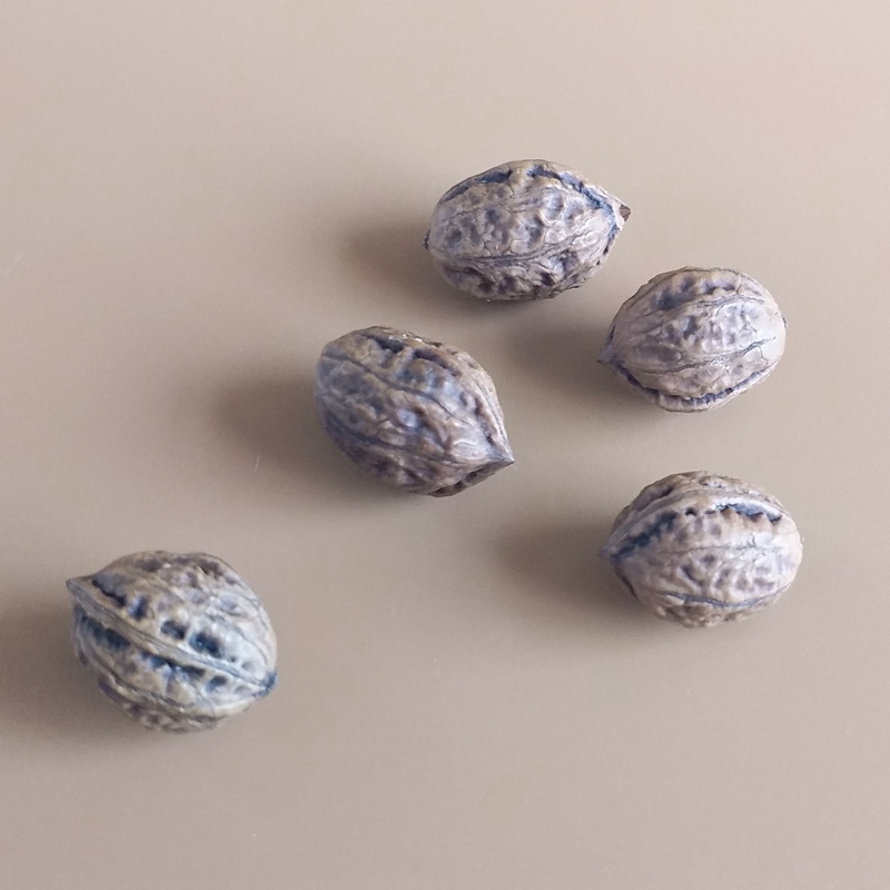 3d Small Walnut Silicone Molds – Candle Supplies Eu recenzja i cena